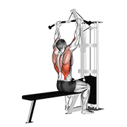 cable pulldown 动作演示