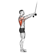 cable pushdown (straight arm) v. 2 动作演示