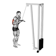 cable pushdown egzersiz gösterimi
