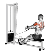 cable rear delt row (stirrups) egzersiz gösterimi