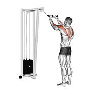 cable rear delt row (with rope) 动作演示