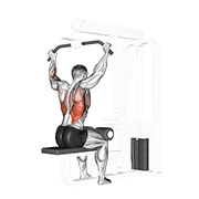 cable rear pulldown exercise demonstration