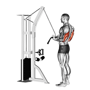 cable reverse-grip pushdown exercise demonstration