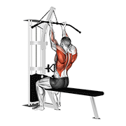 cable reverse-grip straight back seated high row exercise demonstration