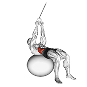 cable russian twists (on stability ball) egzersiz gösterimi
