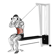 cable seated crunch exercise demonstration