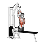 cable seated high row (v-bar) egzersiz gösterimi