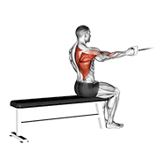 cable seated one arm alternate row dimostrazione dell’esercizio
