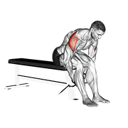 cable seated rear lateral raise egzersiz gösterimi