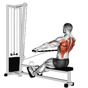 cable seated wide-grip row dimostrazione dell’esercizio