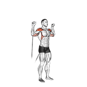 cable shoulder press exercise demonstration