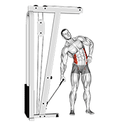 cable side bend exercise demonstration
