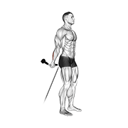 cable standing back wrist curl dimostrazione dell’esercizio