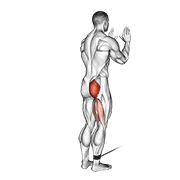 cable standing hip extension exercise demonstration
