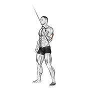 cable standing one arm triceps extension dimostrazione dell’esercizio