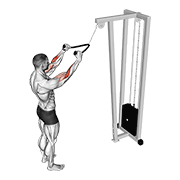cable standing pulldown (with rope) exercise demonstration
