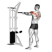 cable standing rear delt row (with rope) exercise demonstration