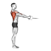 cable standing row (v-bar) egzersiz gösterimi
