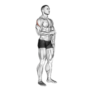 cable standing shoulder external rotation exercise demonstration
