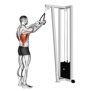 cable straight arm pulldown (with rope) 动作演示