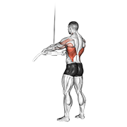 cable straight arm pulldown 动作演示