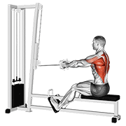 cable straight back seated row egzersiz gösterimi