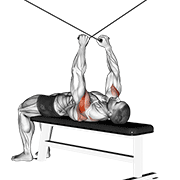 cable supine reverse fly exercise demonstration