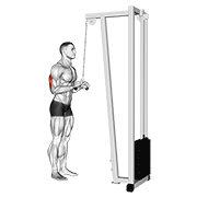 cable triceps pushdown (v-bar) dimostrazione dell’esercizio