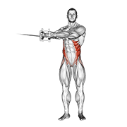 cable twist exercise demonstration