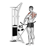 cable upright row exercise demonstration
