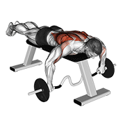 cambered bar lying row dimostrazione dell’esercizio