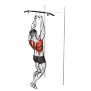 chin-ups (narrow parallel grip) exercise demonstration