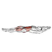cocoons exercise demonstration