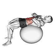 crunch (on stability ball) dimostrazione dell’esercizio
