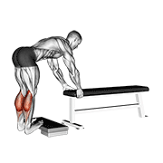 donkey calf raise exercise demonstration