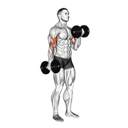 dumbbell alternate biceps curl dimostrazione dell’esercizio
