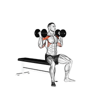 dumbbell arnold press v. 2 dimostrazione dell’esercizio