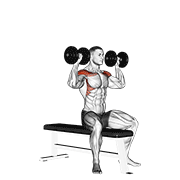 dumbbell bench seated press exercise demonstration