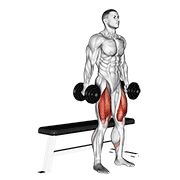 dumbbell bench squat exercise demonstration