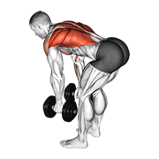 dumbbell bent over row exercise demonstration