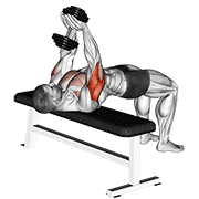 dumbbell close-grip press 动作演示