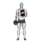 dumbbell cross body hammer curl dimostrazione dell’esercizio