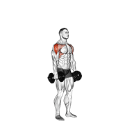 dumbbell cuban press exercise demonstration