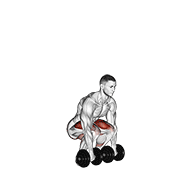 dumbbell deadlift exercise demonstration