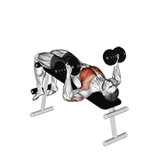 dumbbell decline bench press dimostrazione dell’esercizio
