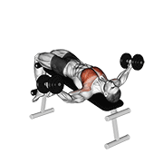 dumbbell decline fly dimostrazione dell’esercizio