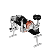 dumbbell decline hammer press exercise demonstration
