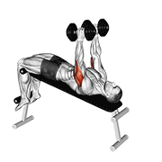 dumbbell decline triceps extension dimostrazione dell’esercizio