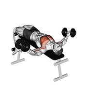 dumbbell decline twist fly exercise demonstration