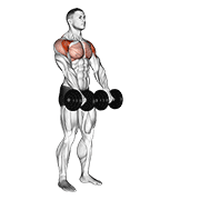 dumbbell front raise exercise demonstration